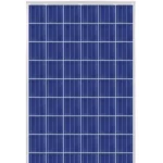 ASTRONERGY-335-Watt-Poly-Solar-Panel-Project-Grade---JSolar